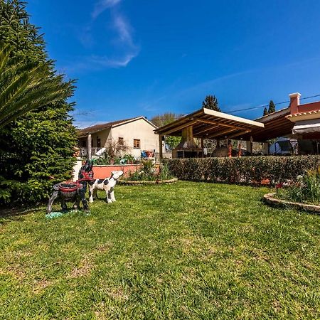 Antonela Sunshine Apartment By Corfu Escapes Perama  Zewnętrze zdjęcie